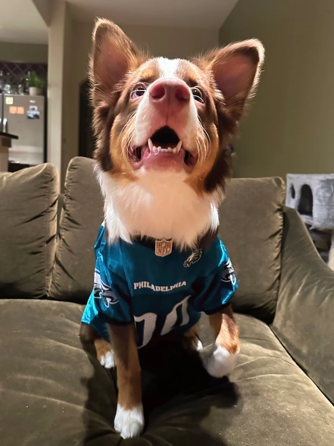 费德勒迎来三赛季高光表现，老鹰球迷沸腾！